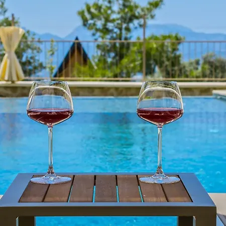Villa Avantgarde-2 *